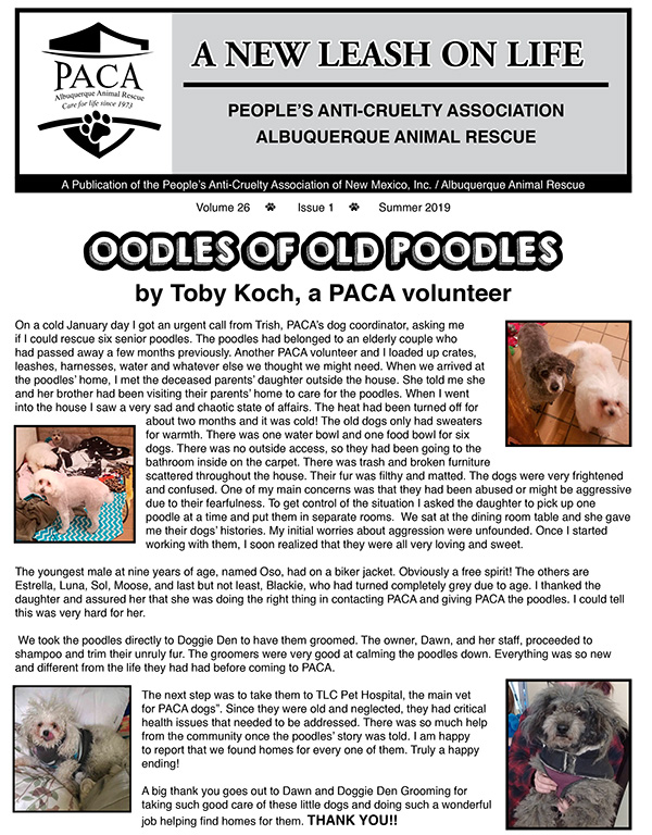 Read about PACA's rescue of SIX senior poodles!!!
