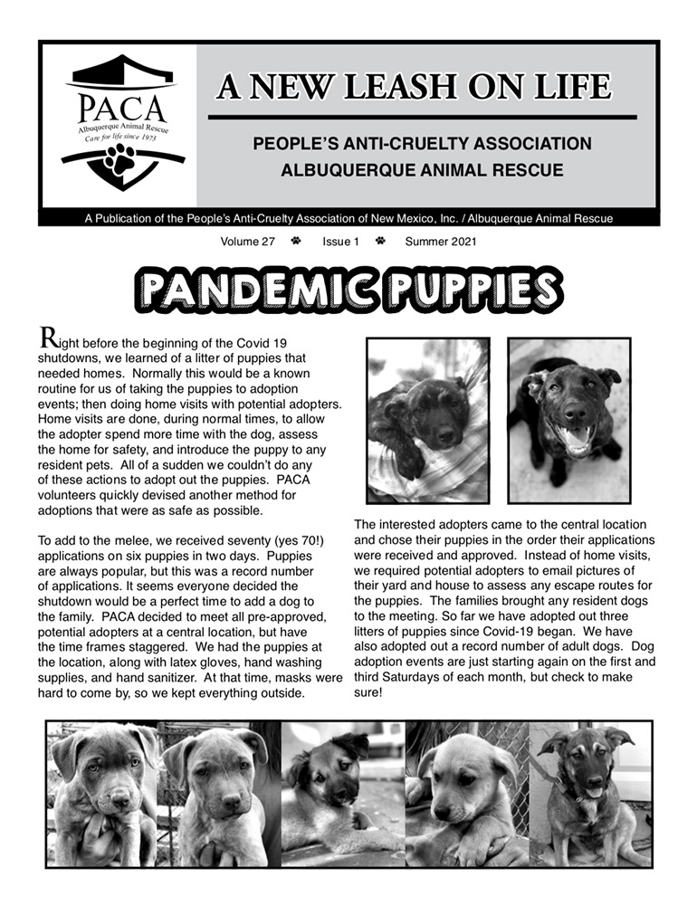 Right before the start of COVID-19, we learned about a litter of puppies that needed homes.  Learn about how PACA navigated the shutdown and adopted out these wonderful pups!