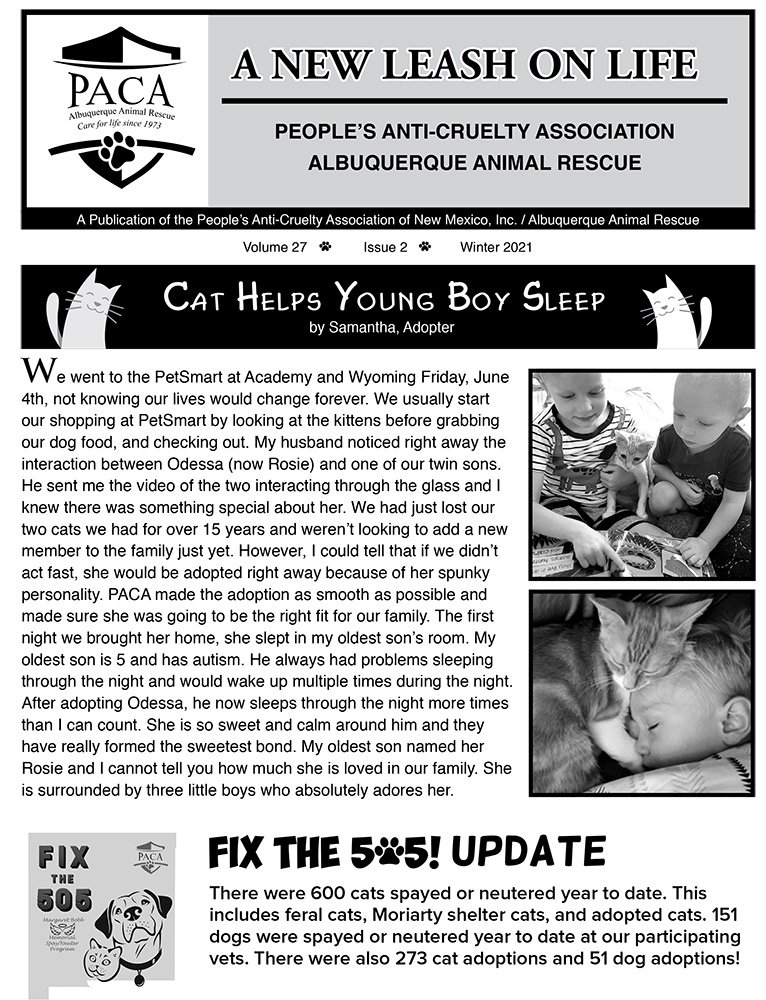 Read about the adoption of a PACA cat Rosie, and the Fix the 505 update!