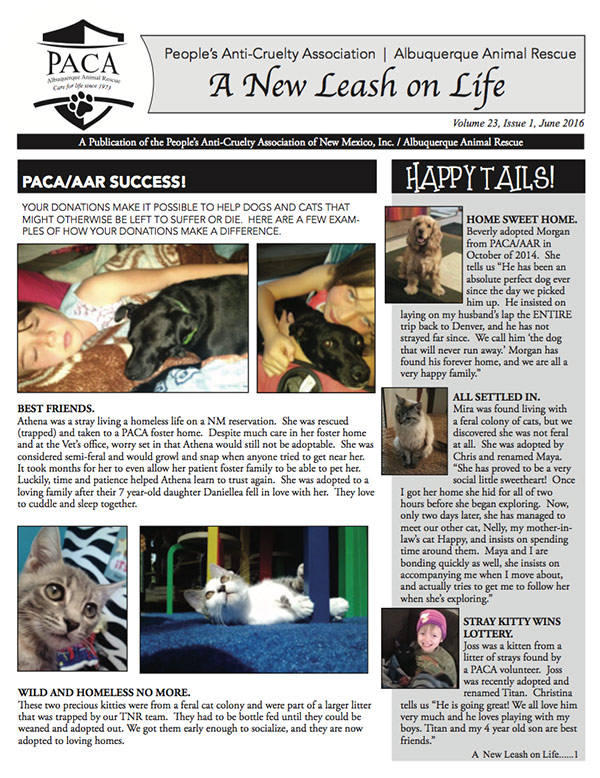 Read about Athena, a stray cat that was living a homeless life on a NM Reservation.