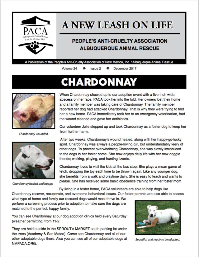 PACA helps Chardonnay to heal and find a new foster home.