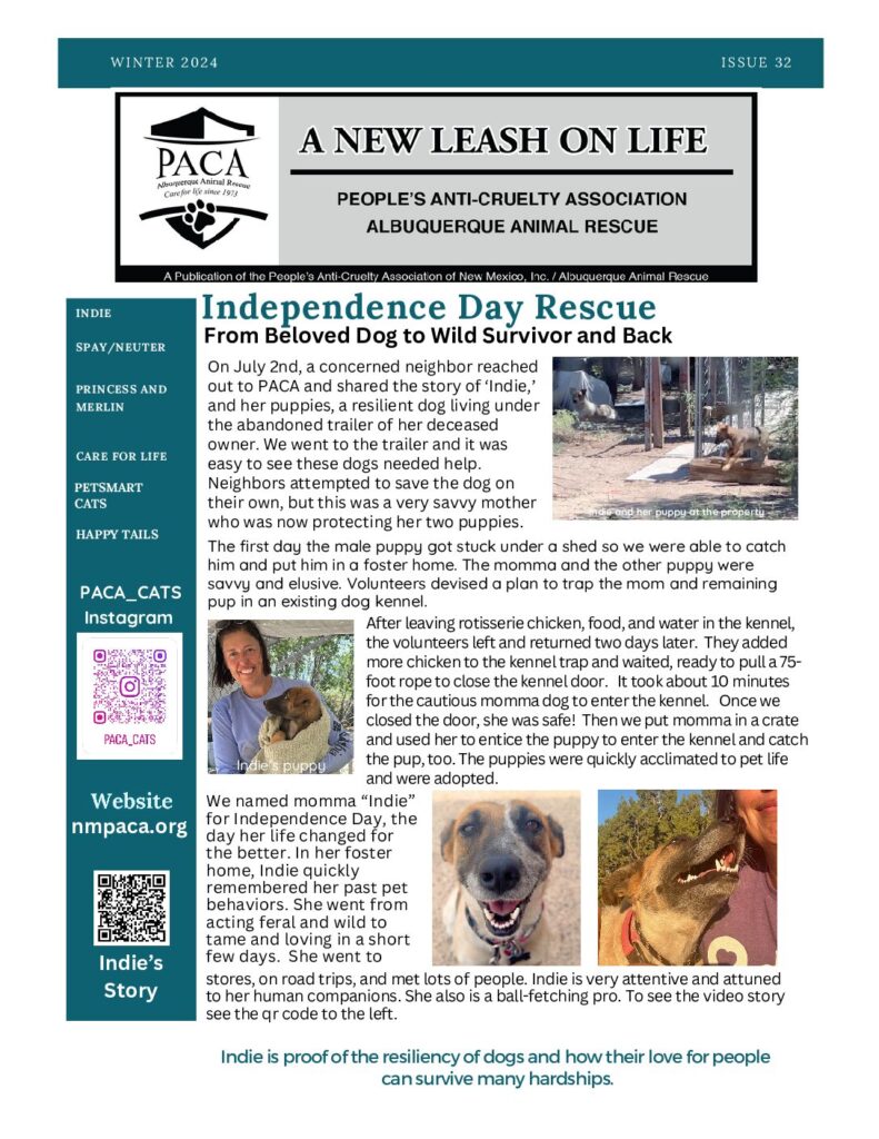 Read our 2023 Winter article on Fargo, the Las Vegas dog that received surgery after trauma from a car!  PACA foster mom Morgan helped Fargo out as soon as she could.
