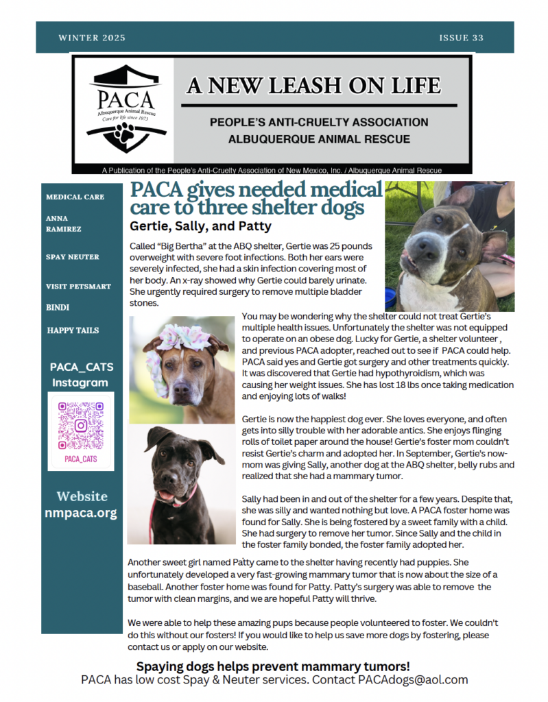 Read our 2023 Winter article on Fargo, the Las Vegas dog that received surgery after trauma from a car!  PACA foster mom Morgan helped Fargo out as soon as she could.