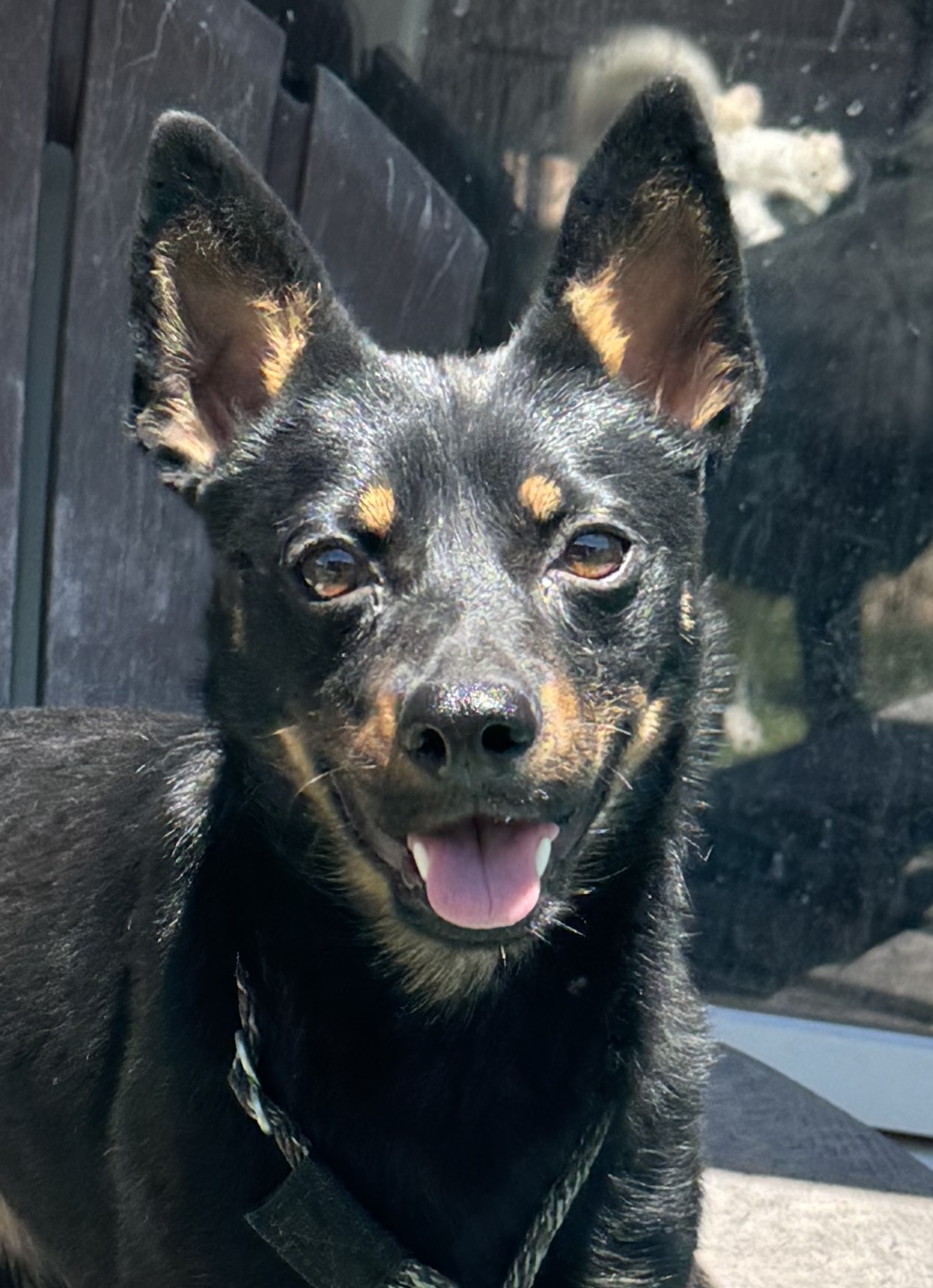 Nix head shot