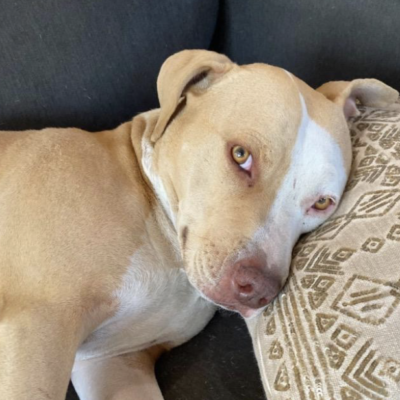 Rousey